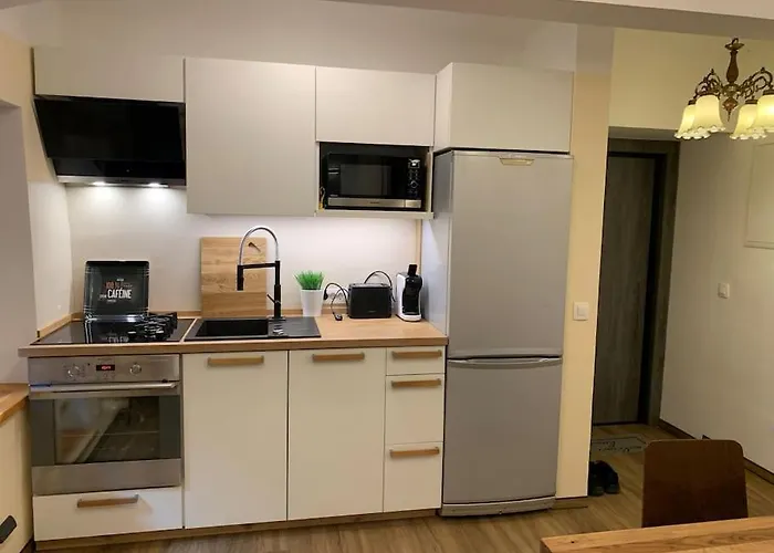 Art Apartment City Center Lj