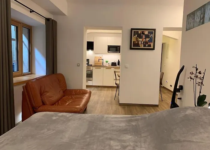 Art Apartment City Center Lj